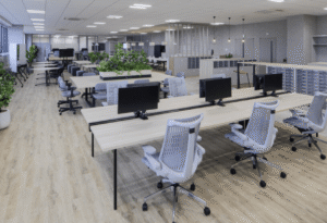 Building High-Performance Workspaces in Western Australia