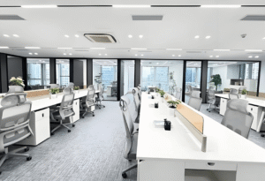 Perth Renovation1-2